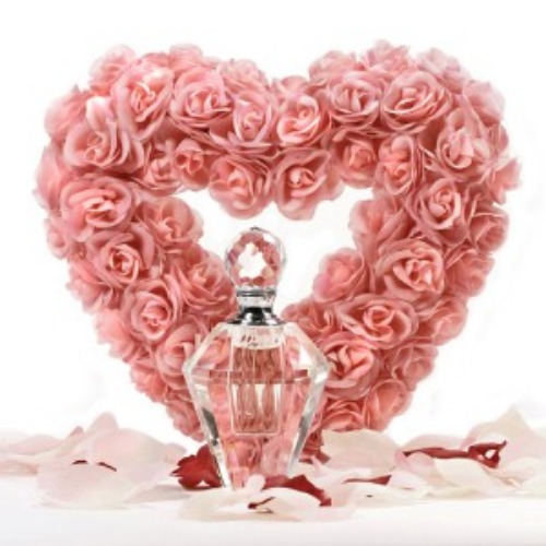 쉬어러브 (빅토리아시크릿 Type)  Victorias Secret SHEER LOVE  &#039; 깨끗한 코튼느낌의 향과 우아한 핑크 릴리의 조화 &#039;