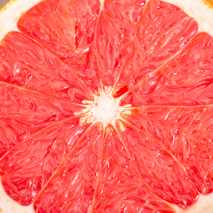 [AF] 자몽 ( 알러지프리 ) Grapefruit
