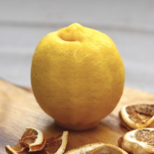 수제몰드 -  레몬 2