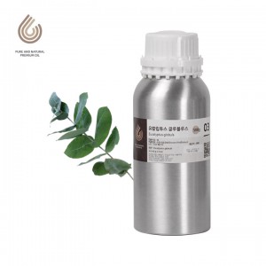 [아로마테라피 등급] 유칼립투스 글루블루스 에센셜 오일 (Eucalyptus Globuls Essential Oil)